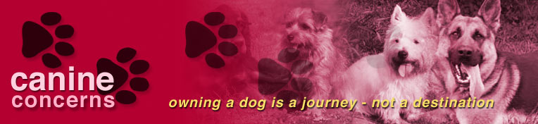 canine concerns