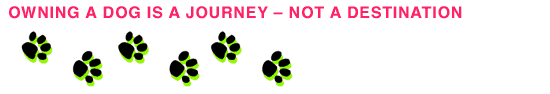 Owning a dog is a journey - not a destination